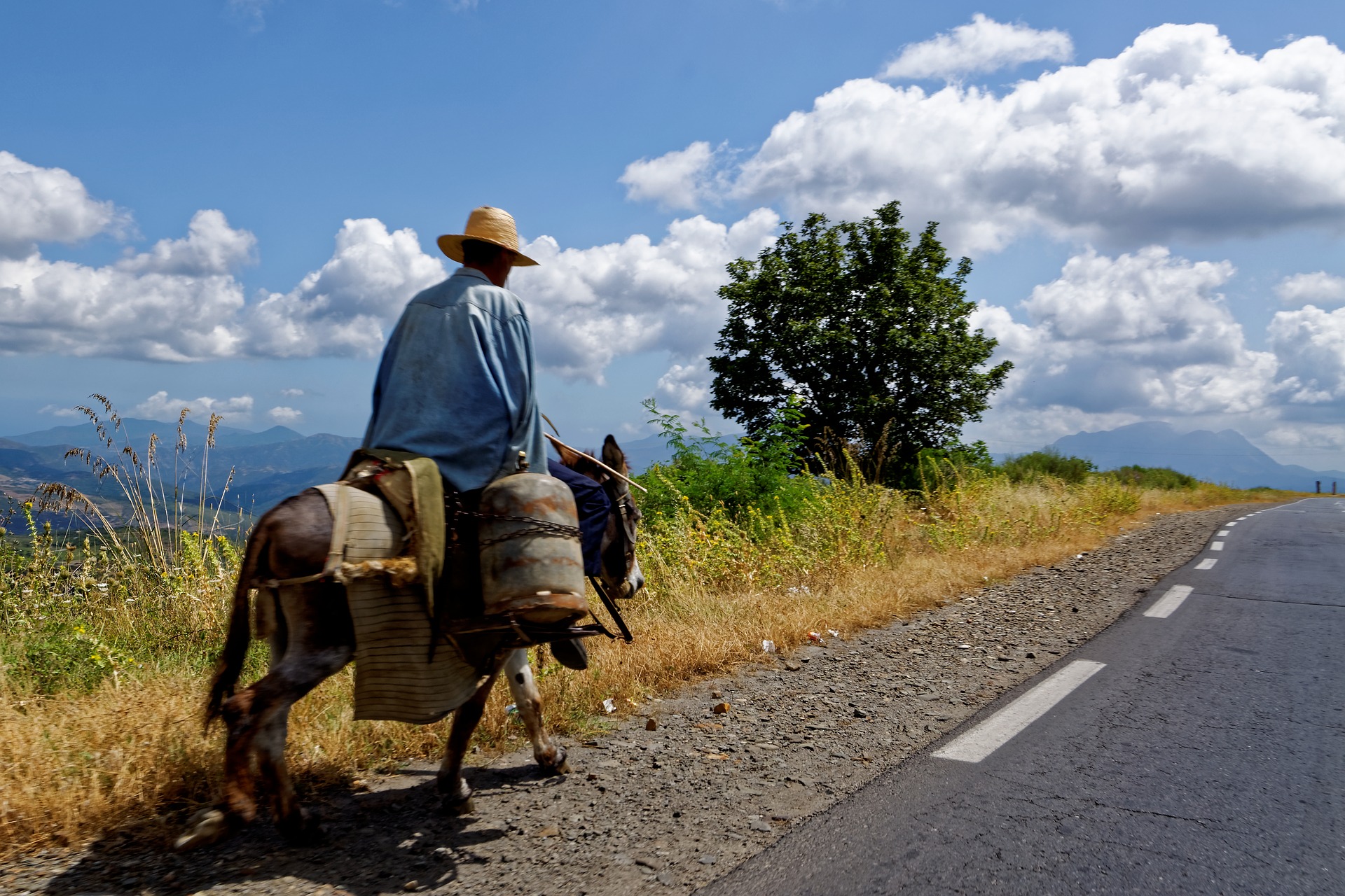 Person riding a donkey on the side of a asphalt road with mountains in the distance