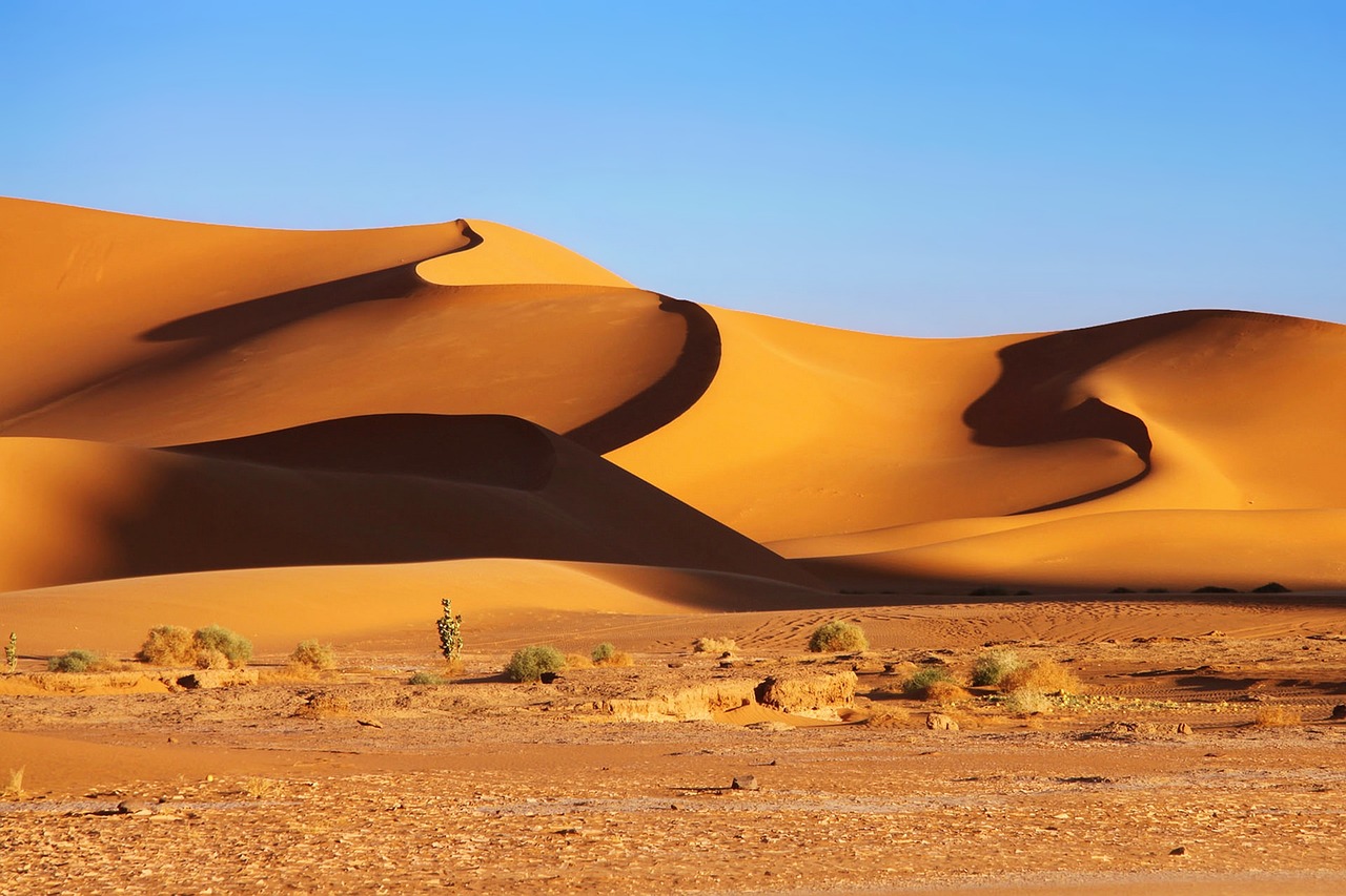 Algerian Sahara with sand dunes in the distance